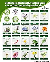 Vista 4 de Paquete variado de semillas de hierbas medicinales – 36 semillas de jardín de té de hierbas no transgénicos: manzanilla, lavanda, equinácea