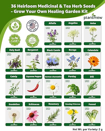 Miniatura 4 de Paquete variado de semillas de hierbas medicinales – 36 semillas de jardín de té de hierbas no transgénicos: manzanilla, lavanda, equinácea