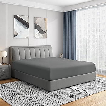 Cathay Home豪华抗皱耐褪色超柔软微纤维单人床单（灰色）