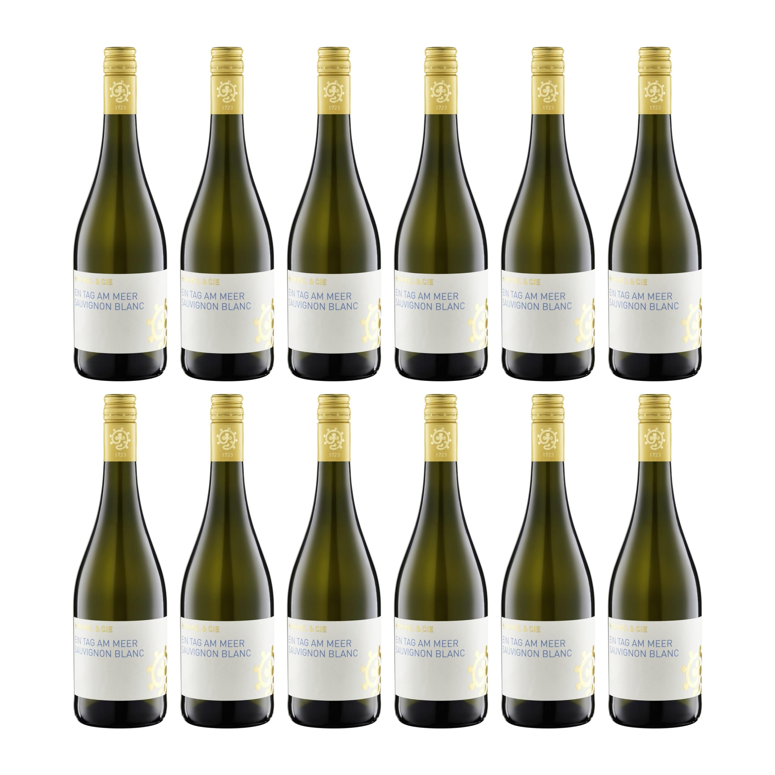 Weingut Hammel Ein Tag am Meer Sauvignon Blanc Weisswein Weiss Trocken VEGAN Deutschland inkl. FeinWert E-Book (12 x 0.75 l)