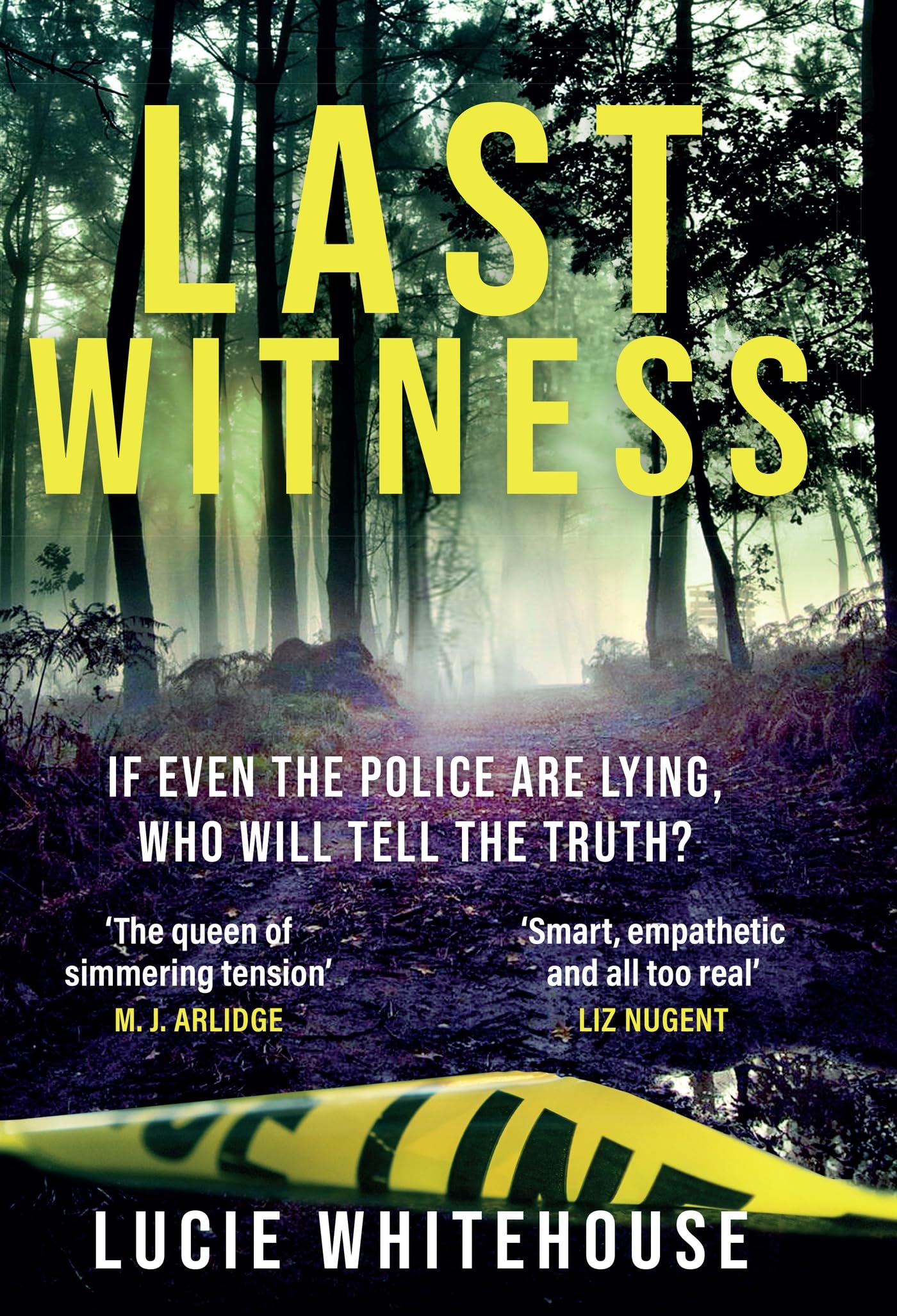 Last Witness : The brand new crime thriller that will keep you up all night