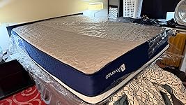 Review Image by Kurt Oberhaus