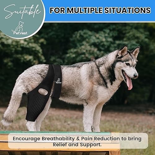 Miniatura 6 de Rodillera para perro, correa ajustable para patas traseras para recuperación de ACL/CCL y ligamento cruzado, alivio del dolor poscirugía y artritis