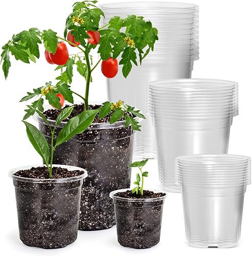 Miniatura 7 de 120 Paquetes Macetas de Turba de 3.15 Pulgadas + 4 Pulgadas, Macetas Biodegradables para Plántulas con Agujeros de Drenaje, Iniciador de Semillas