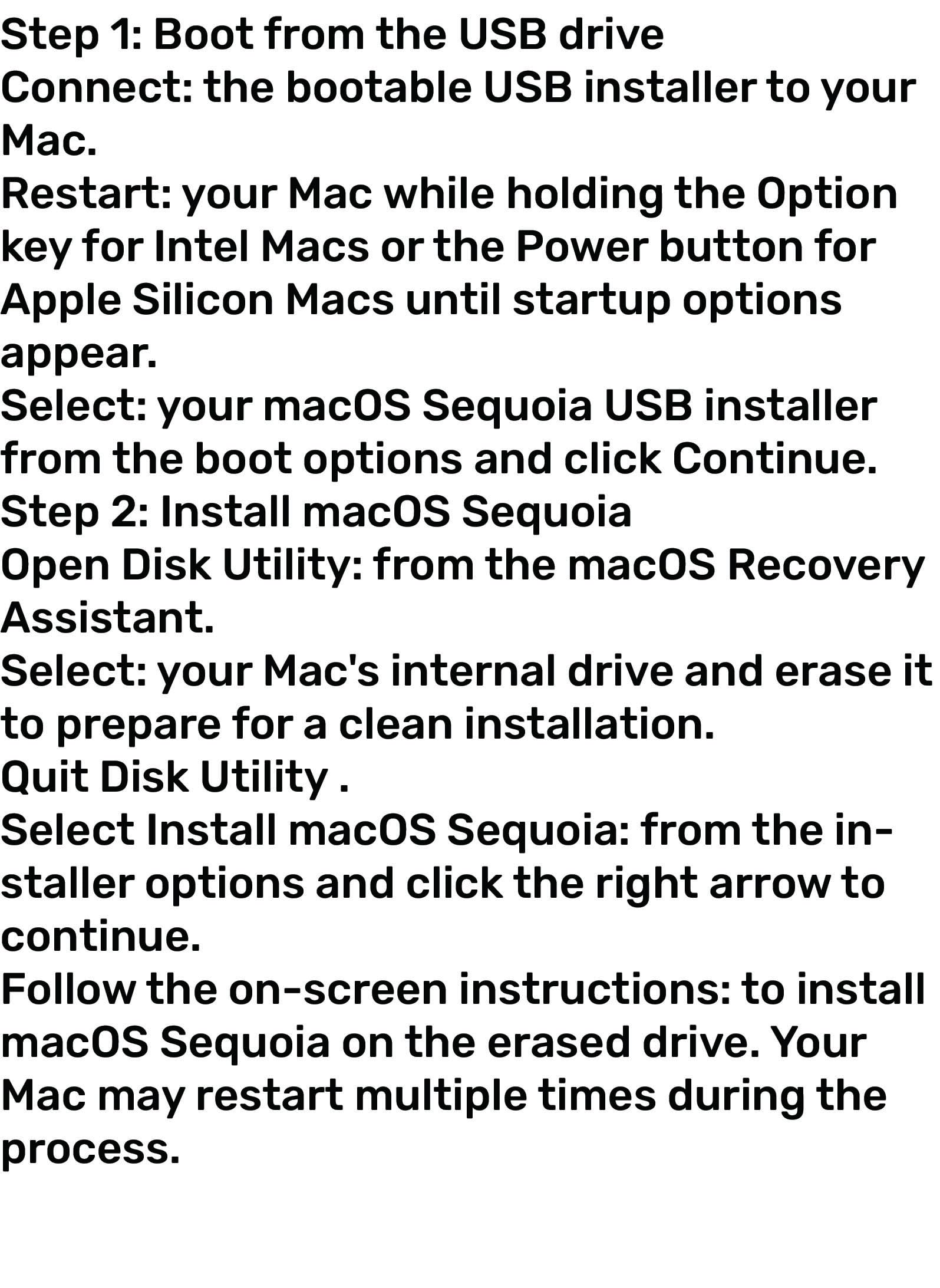 64 GB Bootable Flash Drive MacOs Sequoia, Office 2024