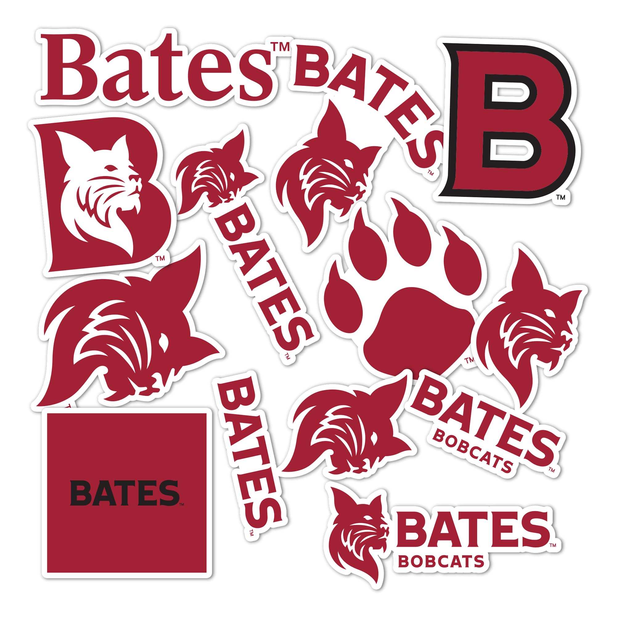 Desert Cactus Bates College Sticker Bobcats Sticker Vinyl Decals Laptop Water Bottle Car Scrapbook Sheet T2 (Type 2)