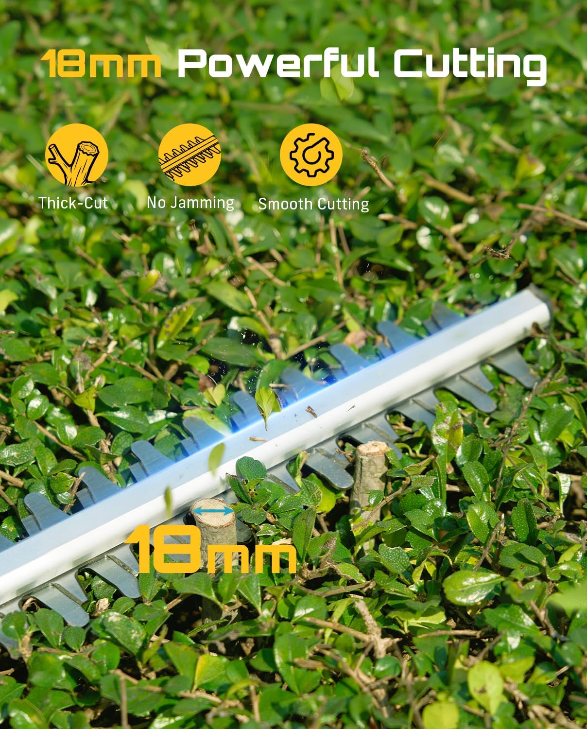 SEESII Cordless Pole Hedge Trimmer: Electric Bush Trimmer with 20" Dual-Action Blade+SEESII 2-in-1 Pole Pruning Shears