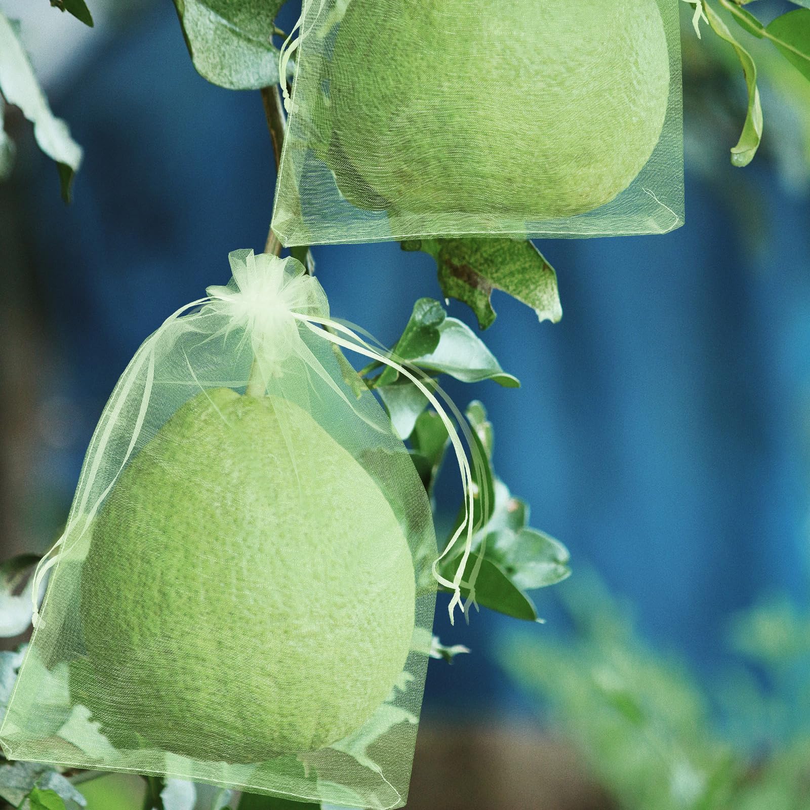 DECHOUS Bolsas Protectoras para Frutas y Verduras 100 Unidades 10x15 Cm Malla Verde Resistente para Cultivo Jardín Protección contra Aves E Insectos Saco Guardería para Uvas y Plantas