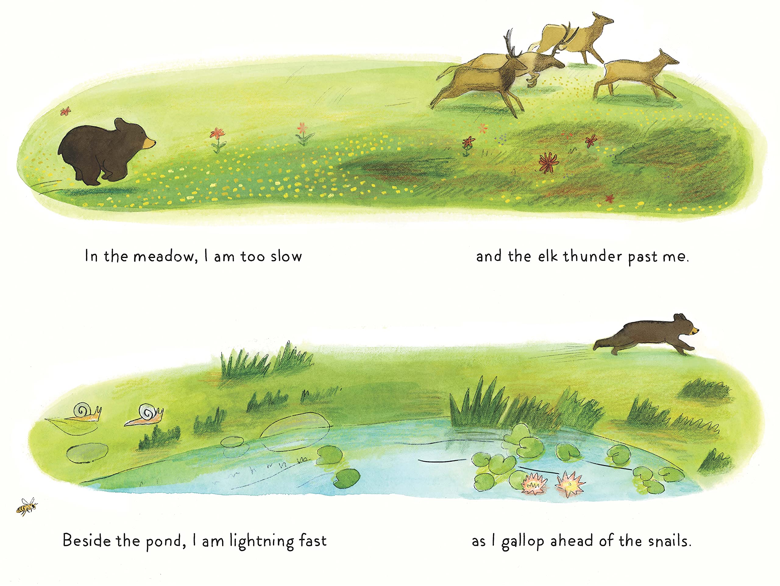 A Cub Story (An Animal Story) - Image 9