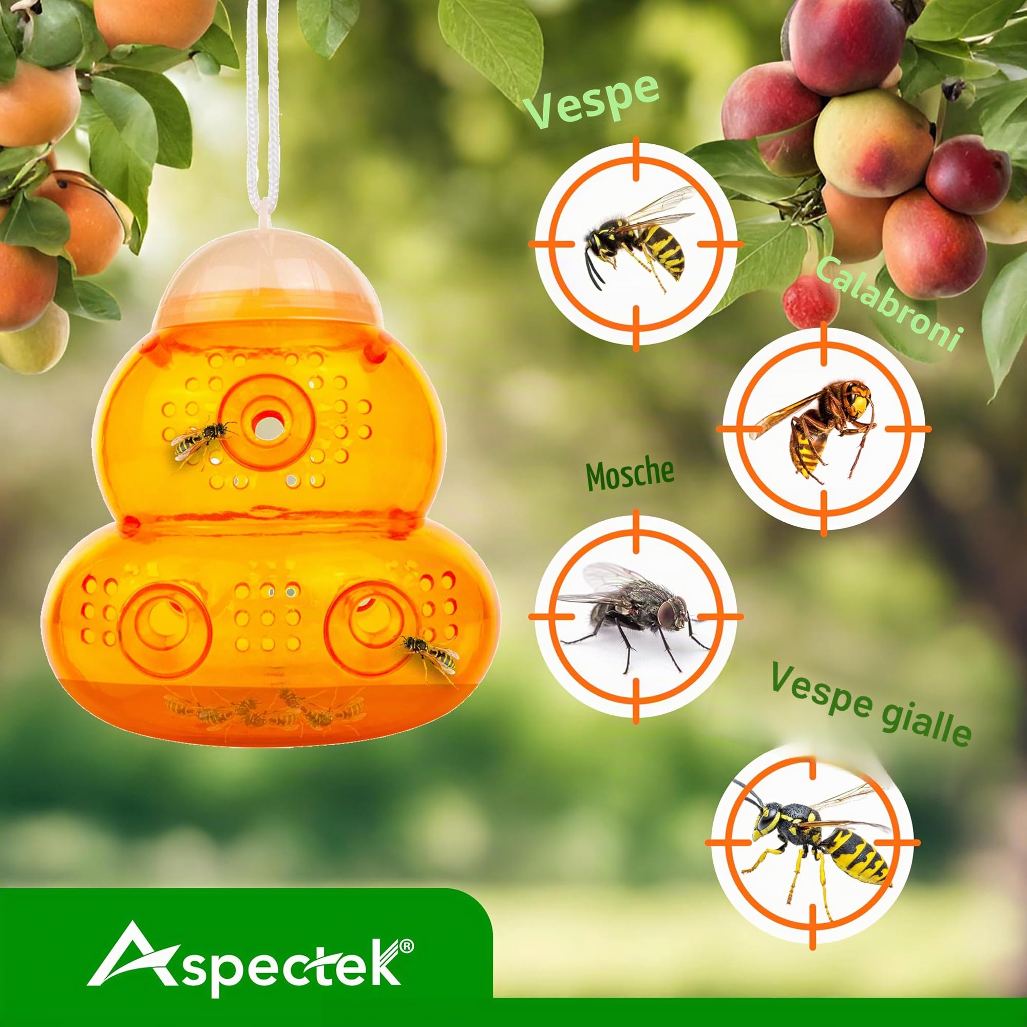 ASPECTEK Trappola per Vespe e Calabroni (2 Pezzi) – Trappola Selettiva da Esterno con Design Salva Api – Riutilizzabile per Giardino, Patio e Casa