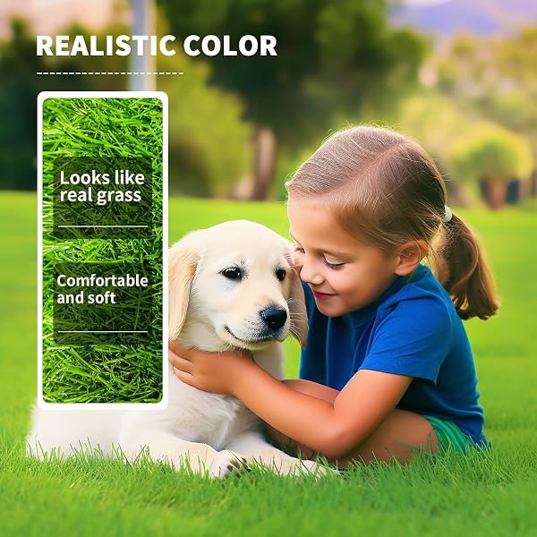 LOOBANI Realistic Artificial Grass Rug Indoor Outdoor, Dog Grass Mat with Drainage Holes and Replacement Artificial Gras