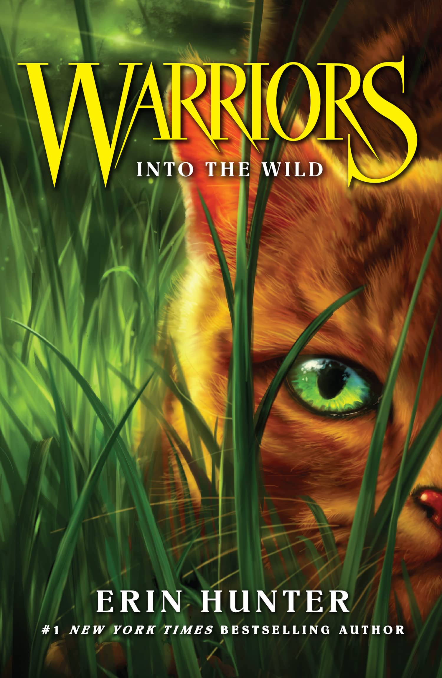 Into the Wild: FOUR CLANS. ONE DESTINY.: Book 1 (Warrior Cats)