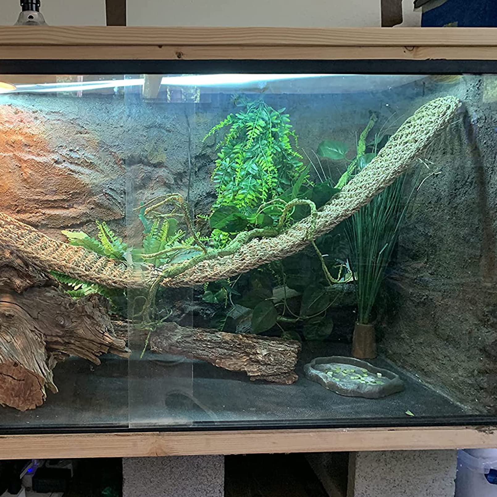 Leopard Gecko Plants Woyrise Reptile Artificial Plants For