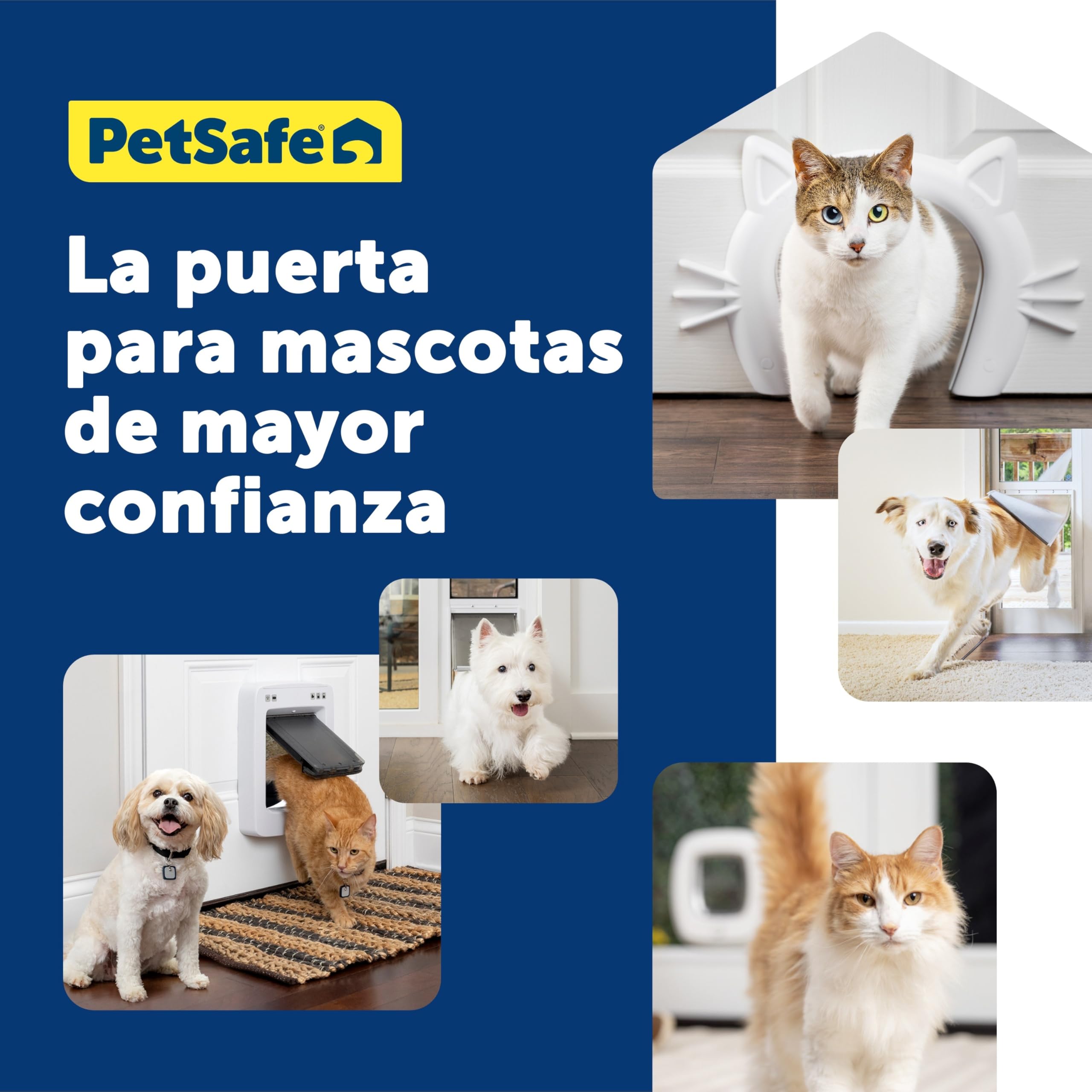 PetSafe Gatera con Microchip - Puerta para Mascotas Interior y Exterior - Bloqueo de 4 Modos y Cierre Suave - para Gatos y Perros Pequeños de hasta 11kg
