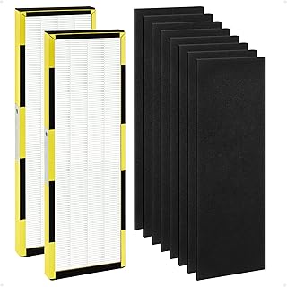 FLT4825 HEPA Filter B Replacement for Guardian Air Purifier AC4825 AC4300 AC4800 AC4900 AC4850, 2 HEPA Filter and 8 Pre-Filter