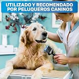 Ver la foto 6