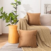 Vista 2 de NiNi ALL - Juego de 2 fundas de almohada decorativas de terciopelo, fundas de almohada para sofá, fundas de almohada para dormitorio, sala de estar