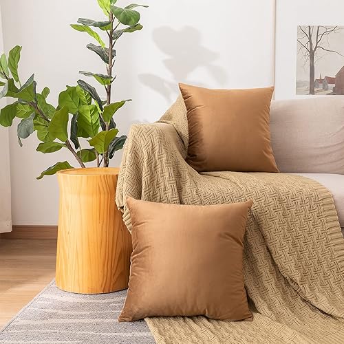 Miniatura 2 de NiNi ALL - Juego de 2 fundas de almohada decorativas de terciopelo, fundas de almohada para sofá, dormitorio, sala de estar, fundas de almohada de