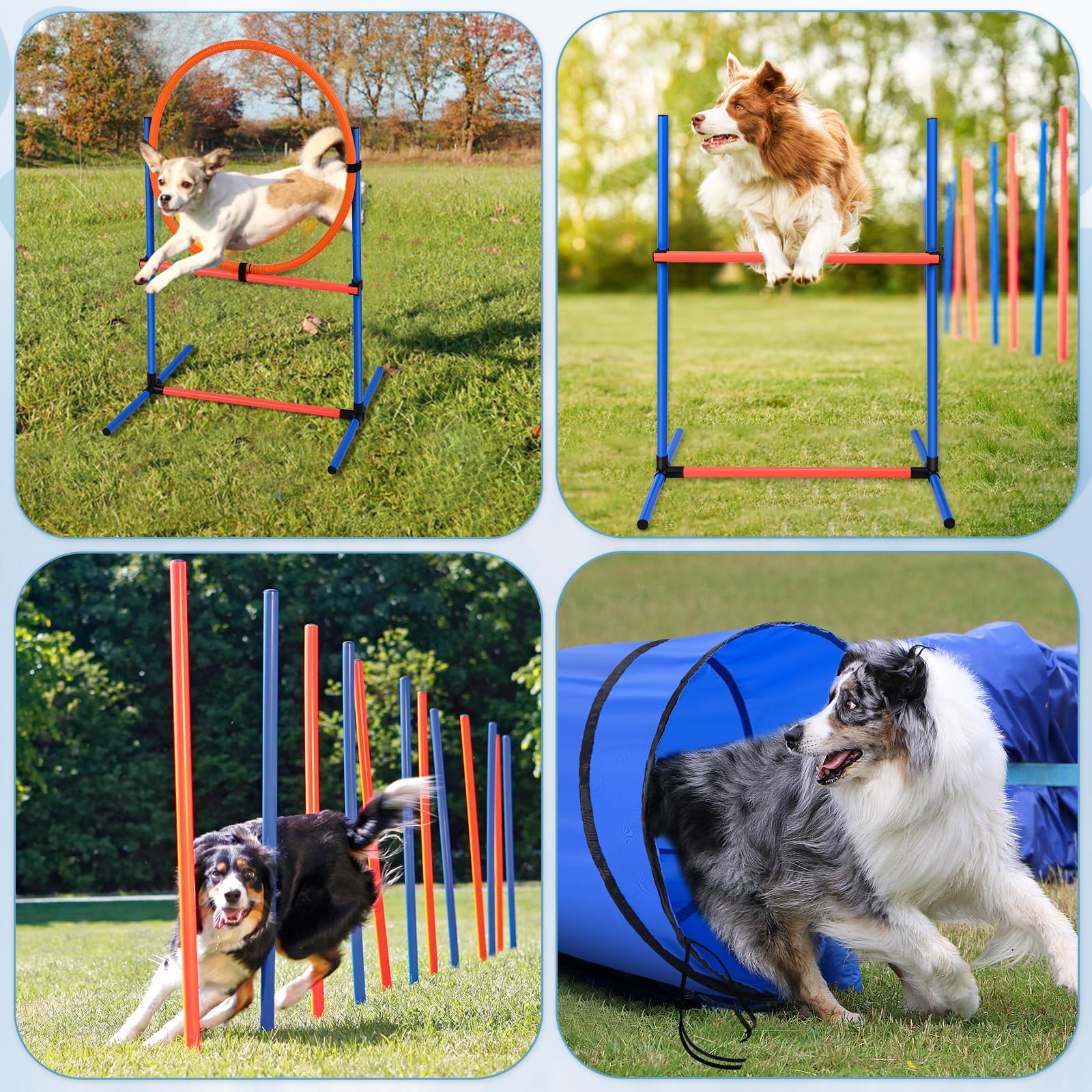 70 pièces Agility Chien équipement Obstacles et Entrainement kit d'agilité pour Chien Tunnel, Anneau de Saut,2 balles,boîte de Pause,Sac à friandises,Sac de Transport Parcours Agility Chien