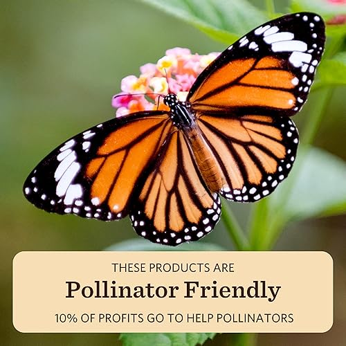 Miniatura 5 de Moon Valley - Bolsa de repuesto para jabón de manos espumoso, paquete de tres unidades, limón y romero, menta lavanda, jabón de pomelo, vegano y sin