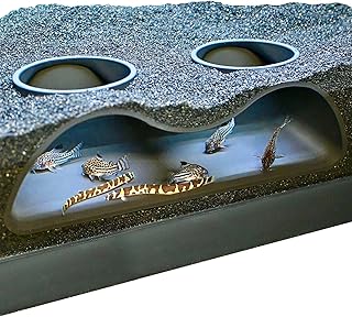 Aquarium Underground Tunnel Cave Natural Curve Two Hole | Viewing Fish & Shrimp Under Gravel Tunnel | Fish Tank Decor Decoration Hideout Perfect for Corydora Catfish, Kuhli Loach, Pleco