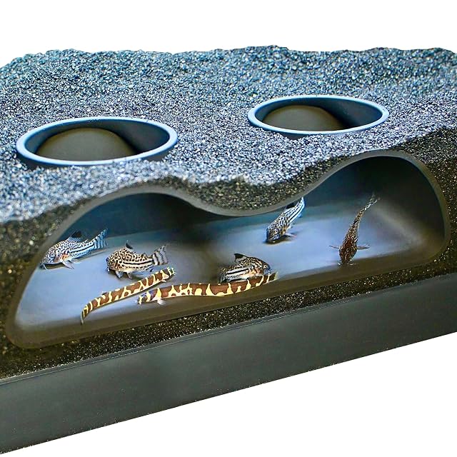Aquarium Underground Tunnel Cave Natural Curve Two Hole Viewing Fish Shrimp Under Gravel Tunnel Fish Tank Decor Decoration