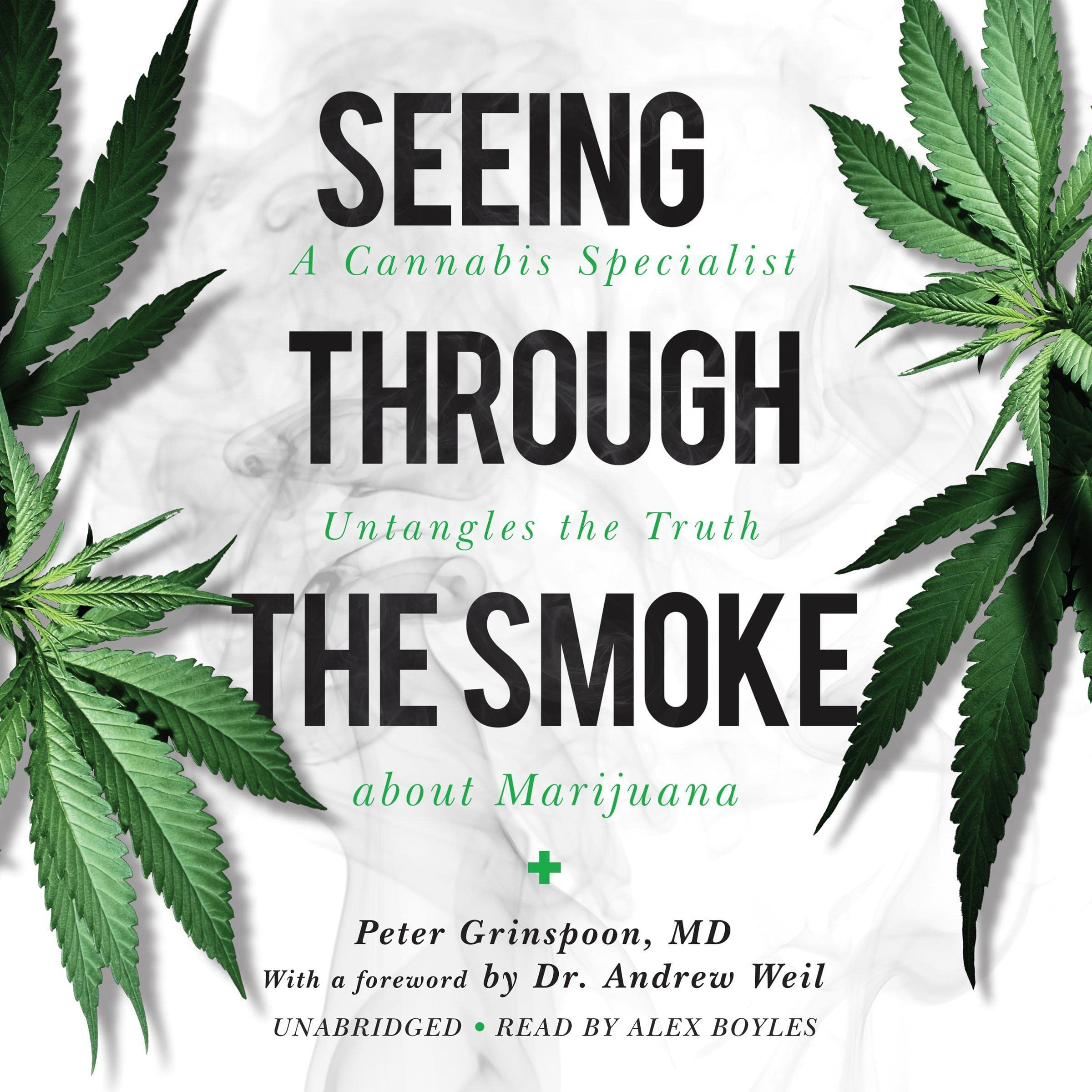 Cover art for Seeing Through the Smoke
