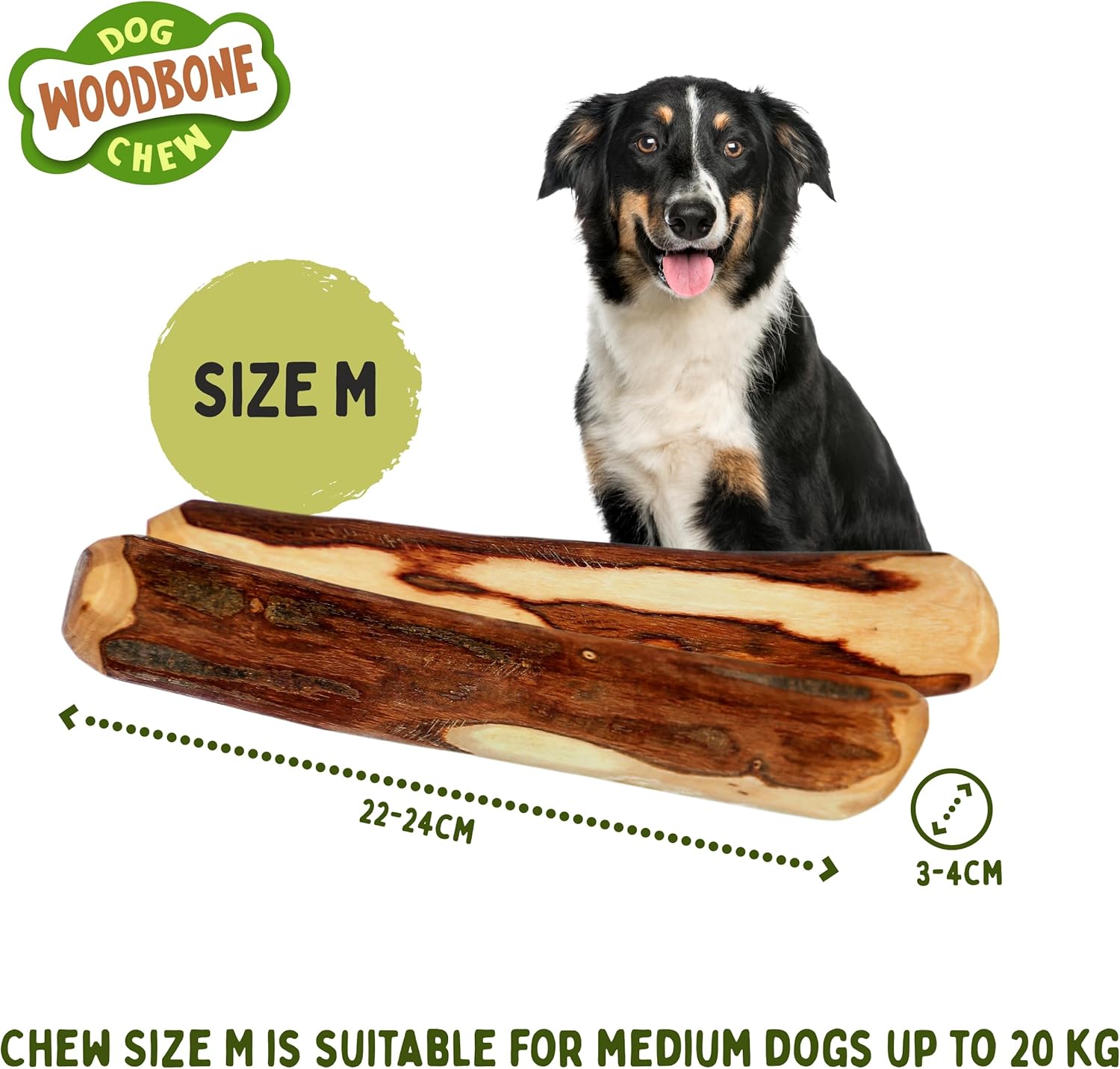Woodbone Olive Wood Dog Chew Toy for Medium Dogs - Natural Dental Chewing Stick - Set of 2 Size M 3 81DKQtuwEPL. AC SL1500