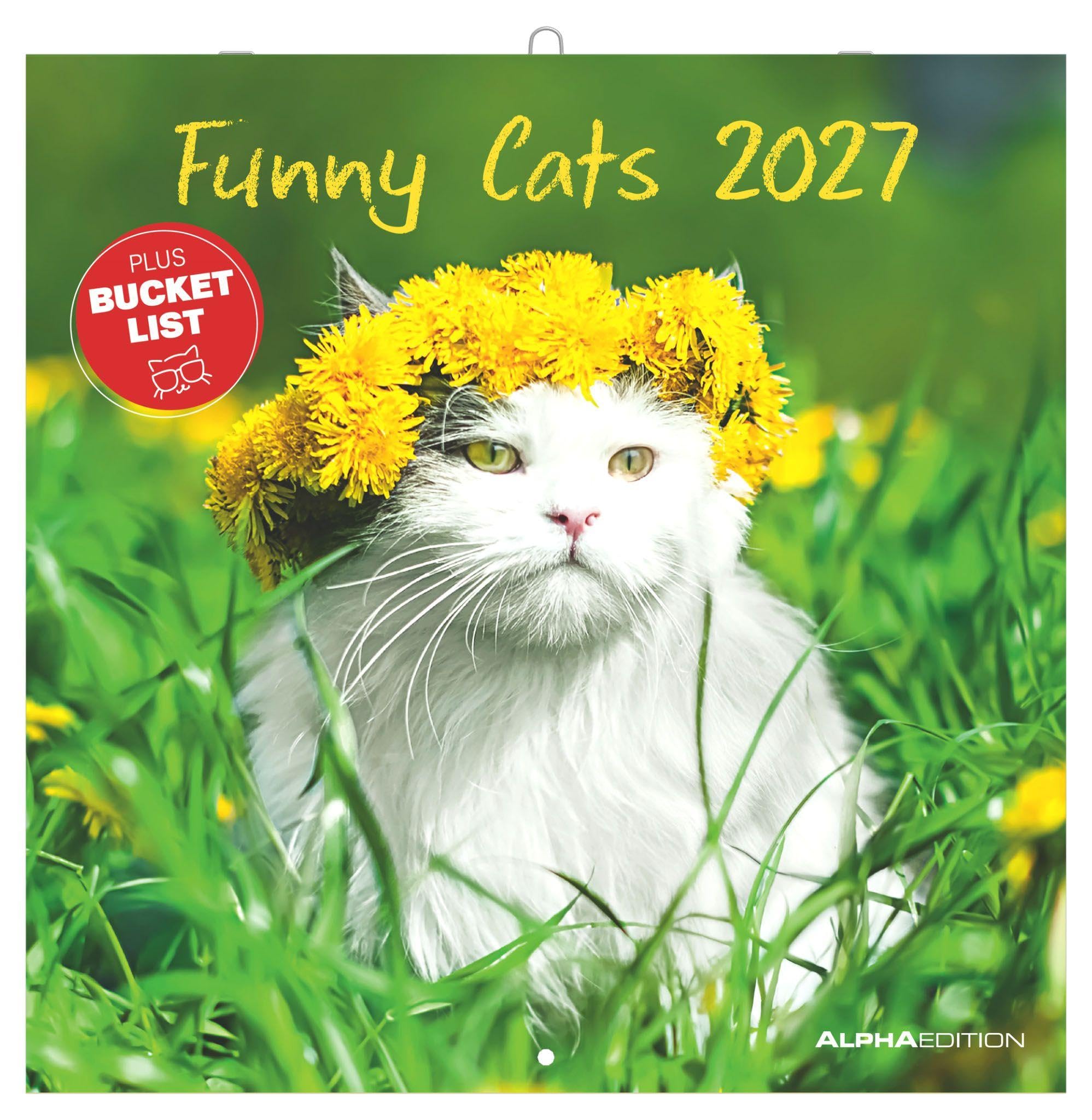 Funny Cats 2027: Wandkalender 30x30 cm (30x60 cm geöffnet) mit Notizkalendarium, 12 lustigen Katzenfotos und Bucket-List
