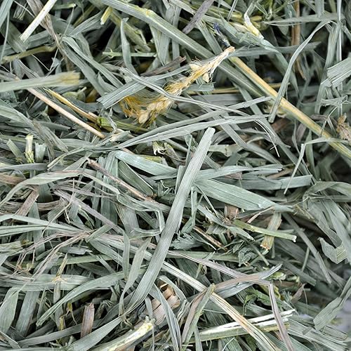 Miniatura 6 de Oxbow Animal Health Organic Meadow Heno - Heno natural para conejos conejillos de indias chinchillas hámsters y jerbos