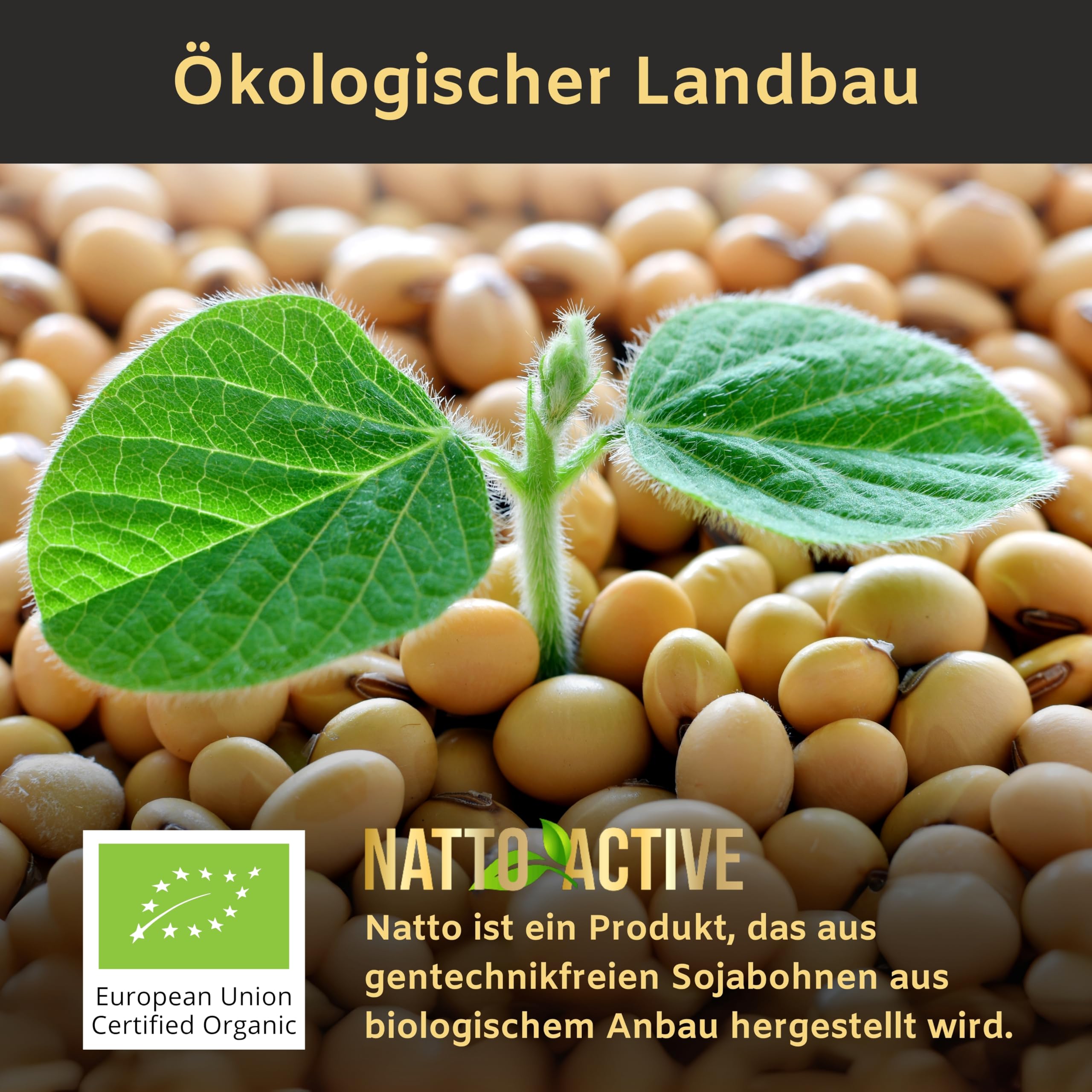 Nattokinase Hochdosiert Bio (20.000 FU/g) mit Bromelain 500mg | Kurkumin 300 mg, Astaxanthin 16mg, Vitamin K2 MK-7 & Piperin, 6 Inhaltsstoffe in 1 Kapseln - Nattokinase Kapseln 60