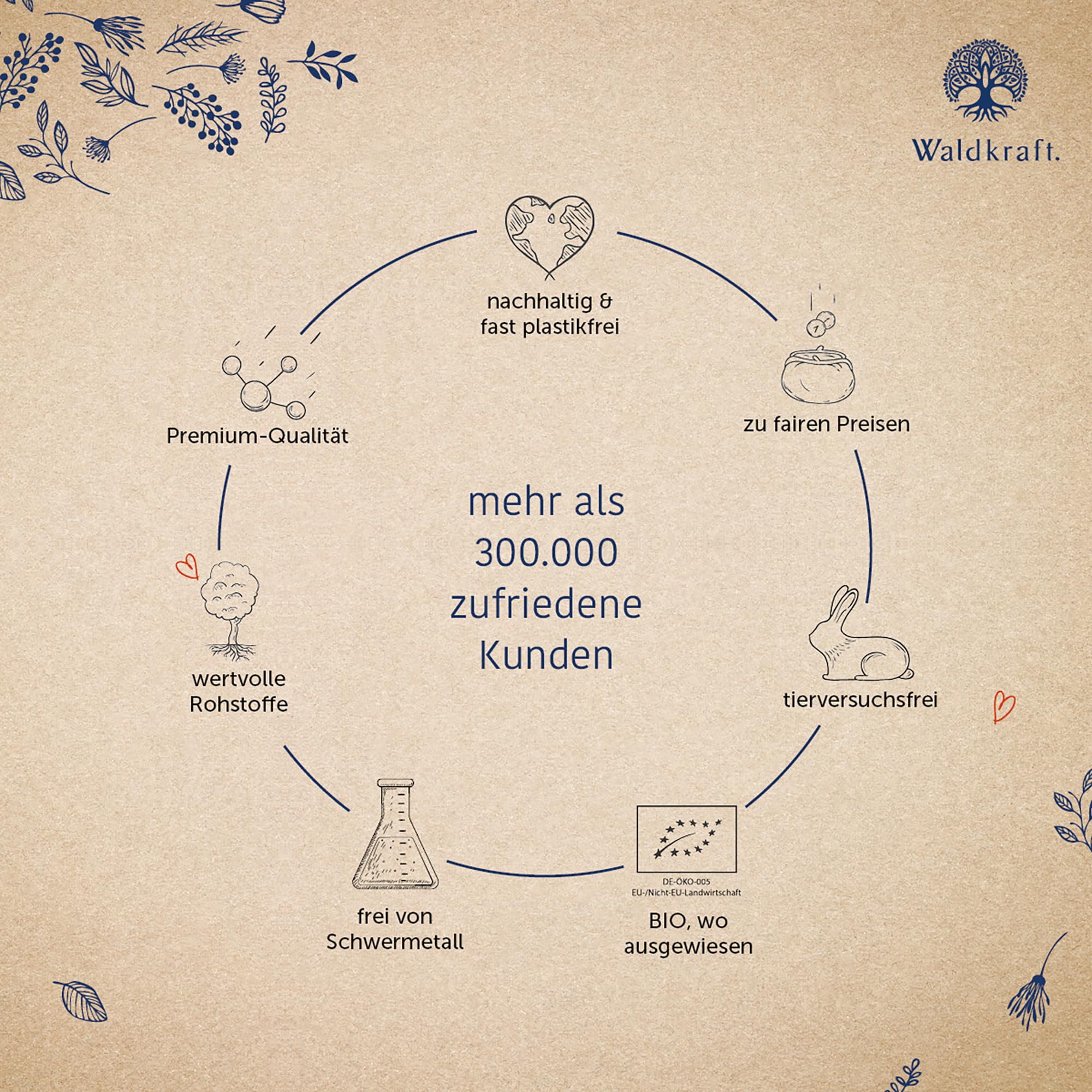 Waldkraft Borax + MSM Kapseln | 99,9% ig reines Natriumtetraborat und OptiMSM® | Lebensmittelqualität | Nachhaltig verpackt in Braunglas | Exklusiv bei Waldkraft | 120 pflanzliche Kapseln