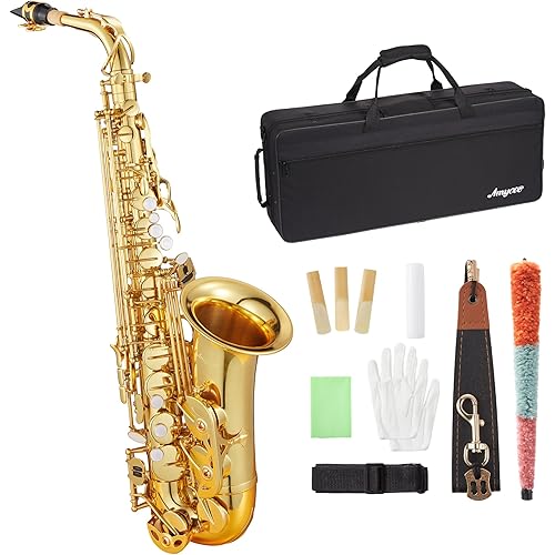 Professional Eb Alto Saxophone Beginner Kit: Complete Student Set with Hard Case, Mouthpiece, Cleaning Kit (Rod/Cloth/Gloves), Ready for Band Class & Practice