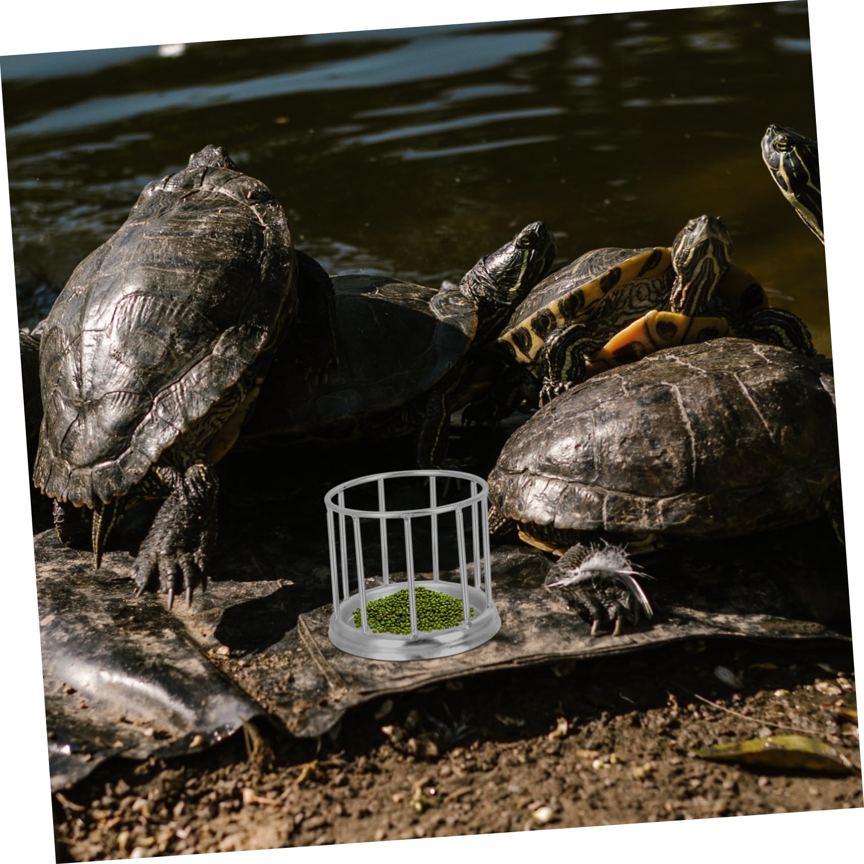 Kisangel 2piezas Alimentador Automático De Agua Inoxidable para Reptiles Plato De Comida para Tortugas y Diseño Estable y Antideslizante para Exteriores y Acuáticas