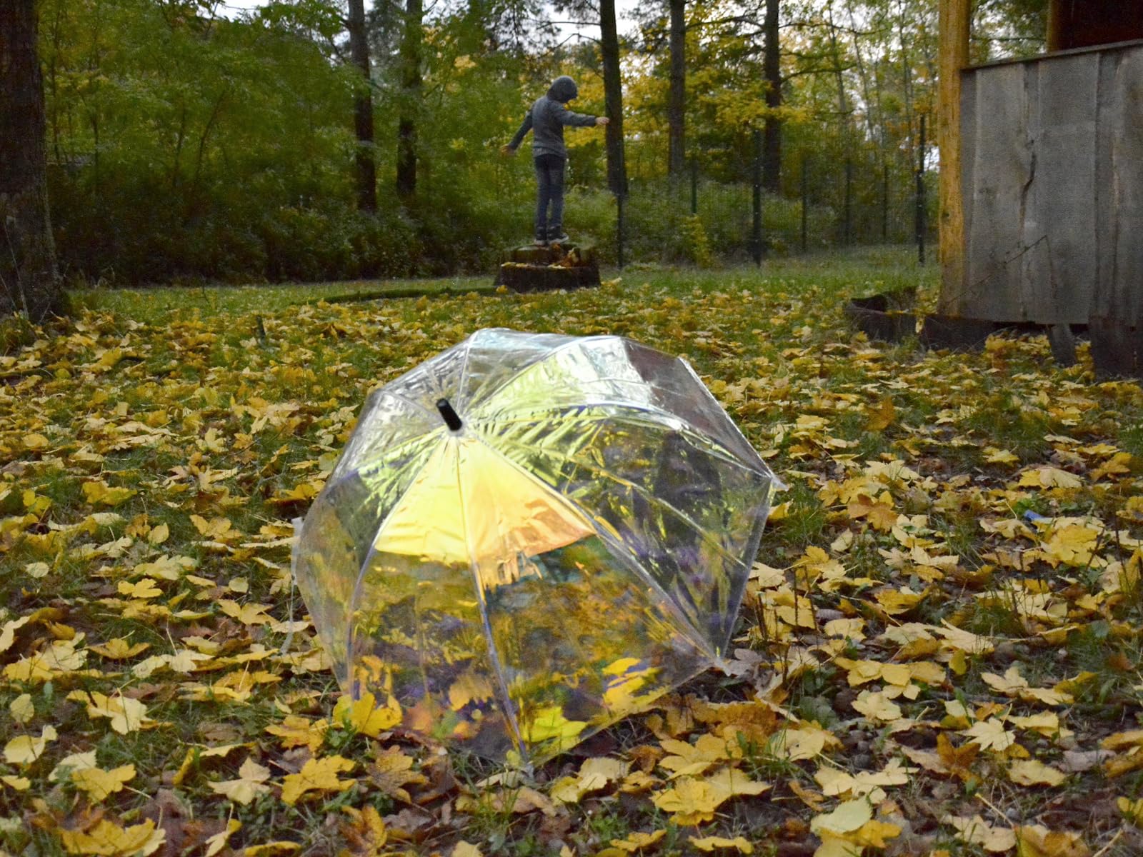 X-brella Shiny Kids - Parapluie pour enfant - Parapluie cloche transparent irisé, Transparent/multicolore, 72 cm, Parapluie pour enfant avec ouverture manuelle