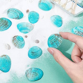 Amazon.com - PH PandaHall 35pcs Blue Natural Seashell Bead, 32