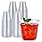 Turbo Bee 100 Pack 9oz Clear Plastic Cups,Disposable Crystal Drinking Cups,PET Plastic Party Cups for Wine,Juice,Iced Coffee and Cold Drinks