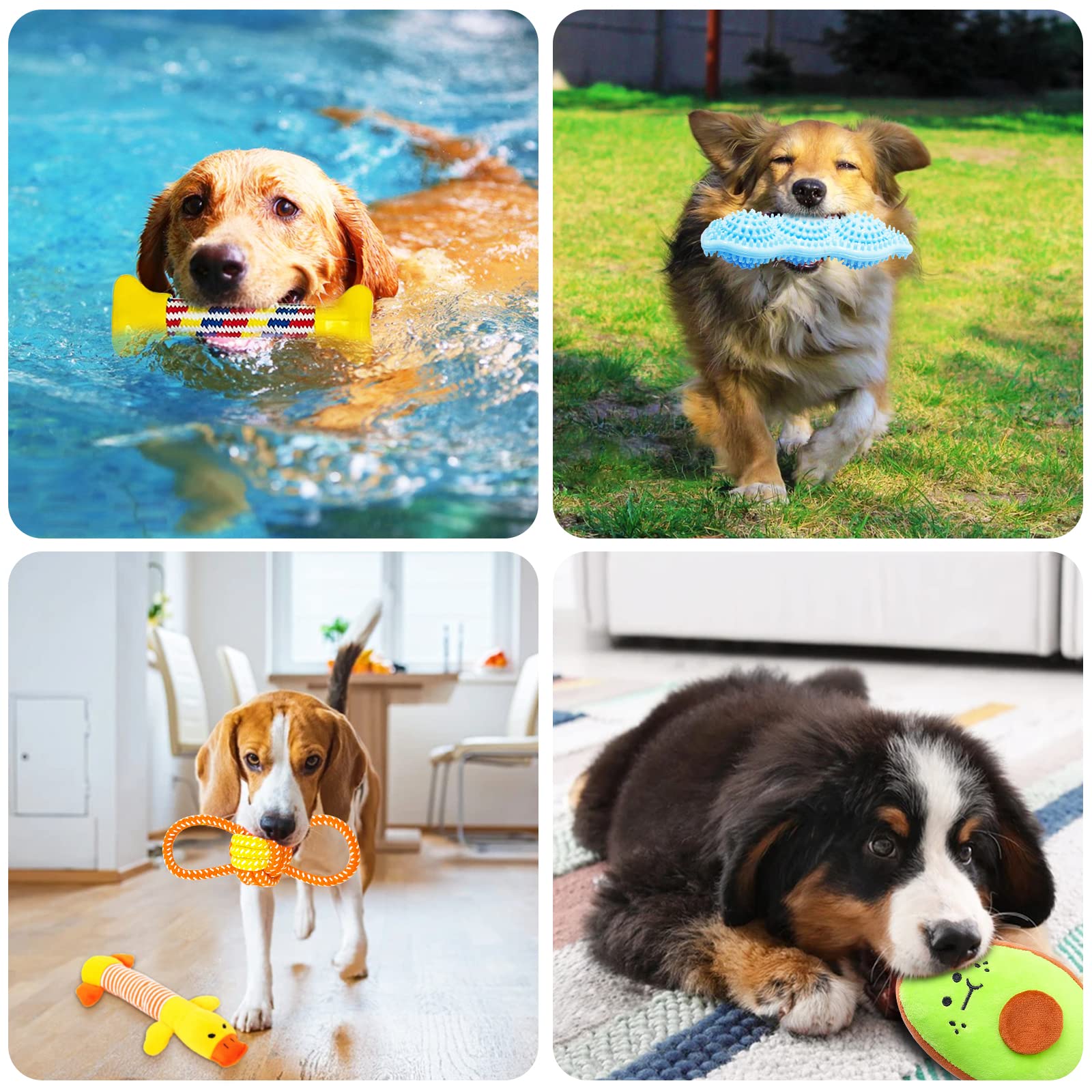 Set Giochi per Cani - 20pcs Corde in Cotone Naturale per la Pulizia dei Denti - per Cani Piccola e Media
