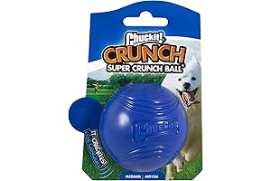 Crunch Ball for Canines: The Kong Crackle's Delightful Symphony