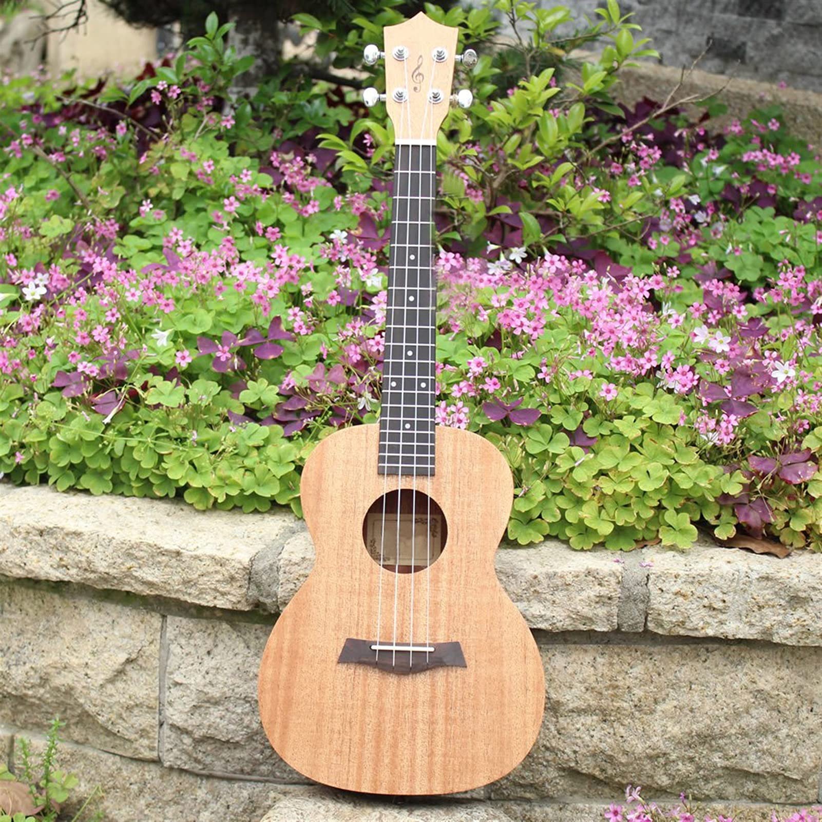 Ukulele koncertowe Początkujący Ukulele 26- calowy Top Mahogany Tenor Ukelele Ukulele Rosewood Fingerboard 4 Strings Hawaii Mini Gitara UKE (Color : Uke with Bag)