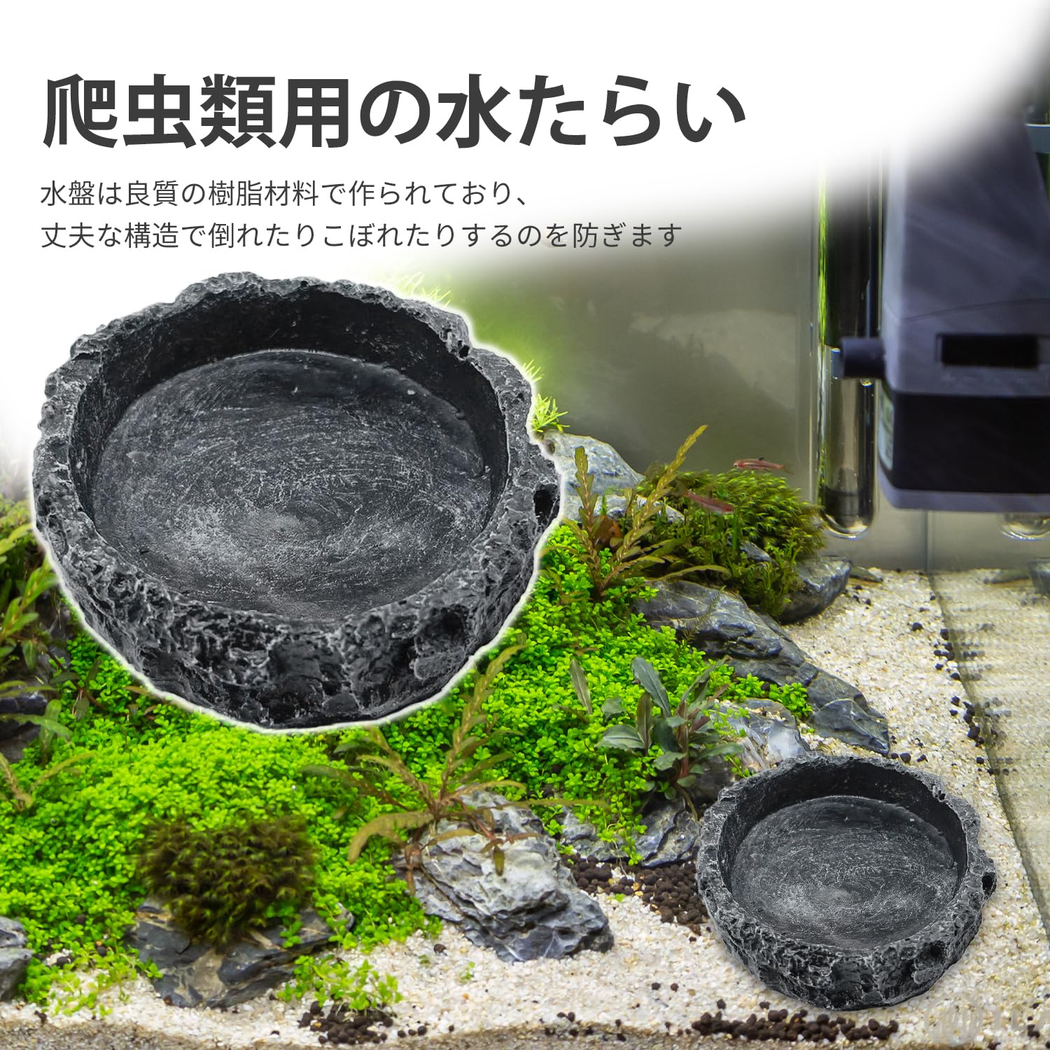 Amazon | PAVIKE 爬虫類 水入れ 爬虫類 餌入れ 爬虫類用 水飲み皿 自然