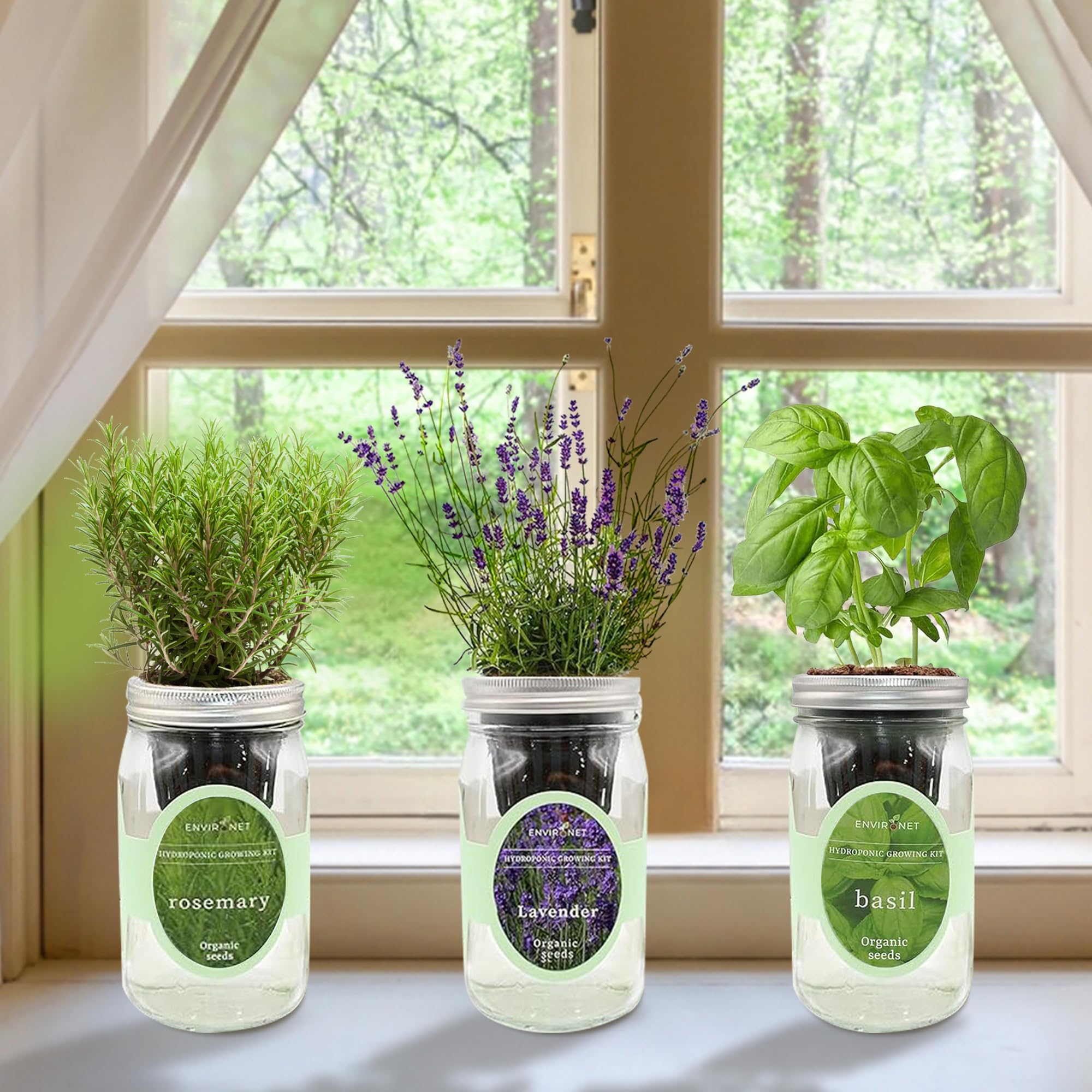 Lakeside Windowsill Herb Planter-Self Watering, image size:2000x2000