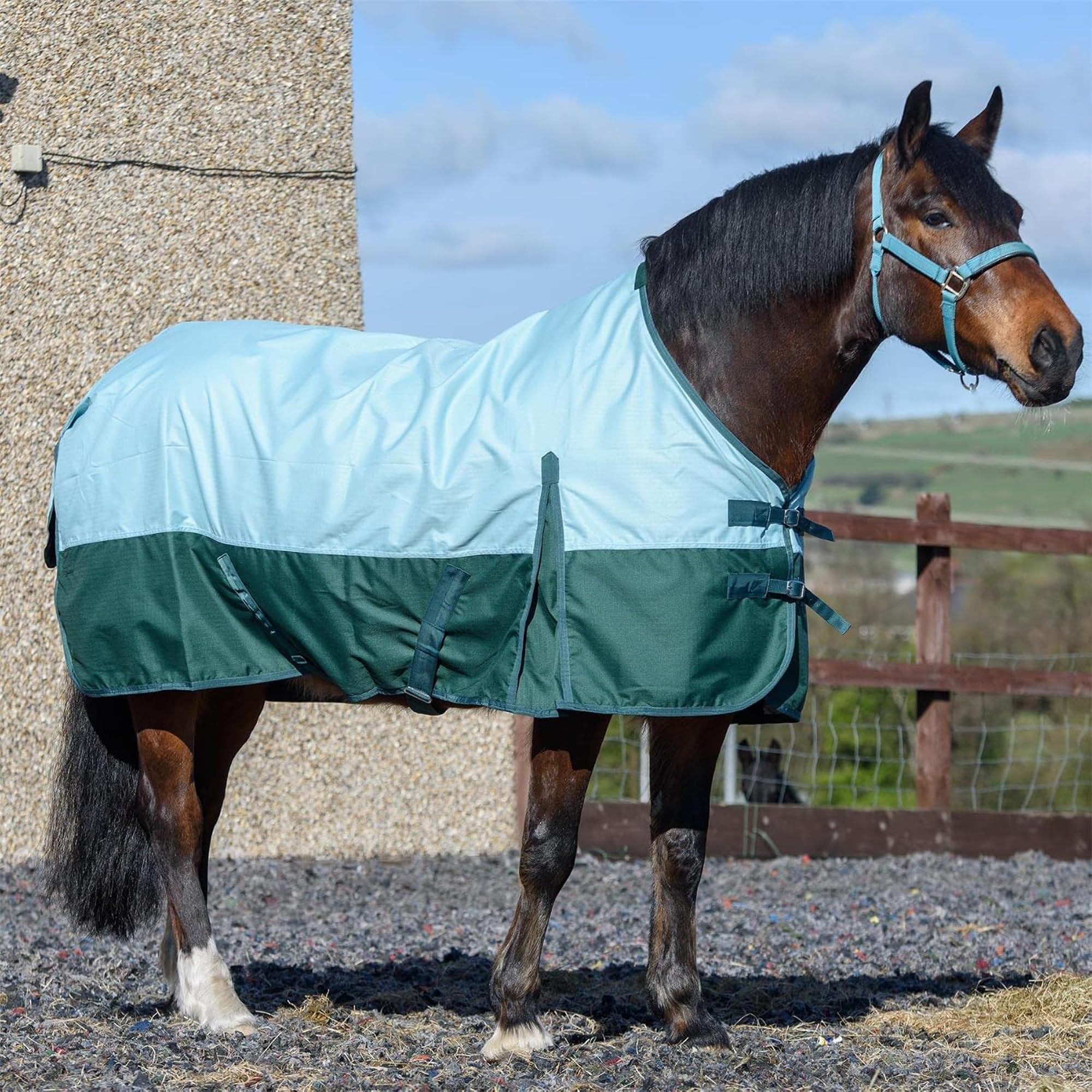 eQuitack 600D Lite Horse Turnout Rug, 5’6” – Standard Neck, Waterproof, Lightweight Turnout Rug for Horses 0g No Fill Turnout Rug, Adjustable Leg Straps, Pista Aqua/Bottle Green — image 1
