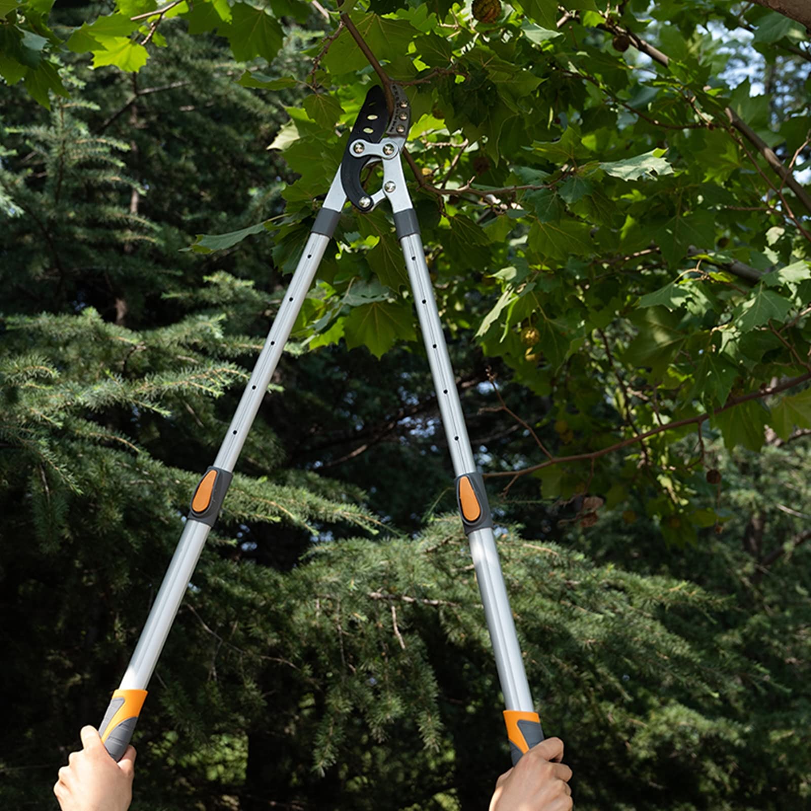 Tijeras De Podar Telescópicas 72-104CM, Tijera De Jardinería Fabricada Corta Ramas Menos De 60MM, Cuchilla De Acero SK-5 Y Recubiertas De Teflón, Corte Bypass De Yunque Profesional