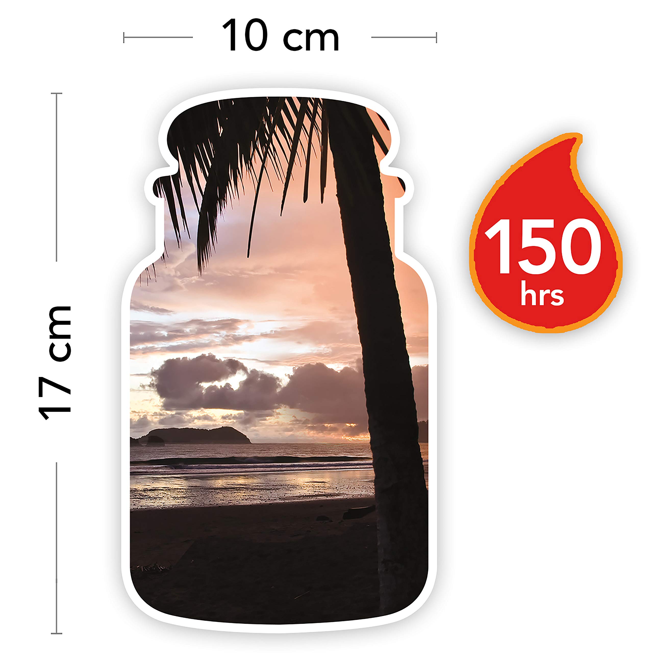 Yankee Candle Duftkerze im Glas (groß) – Black Coconut – Kerze mit langer Brenndauer bis zu 150 Stunden & Duftkerze | Home Sweet Home | Brenndauer bis zu 150 Stunden | Große Kerze im Glas