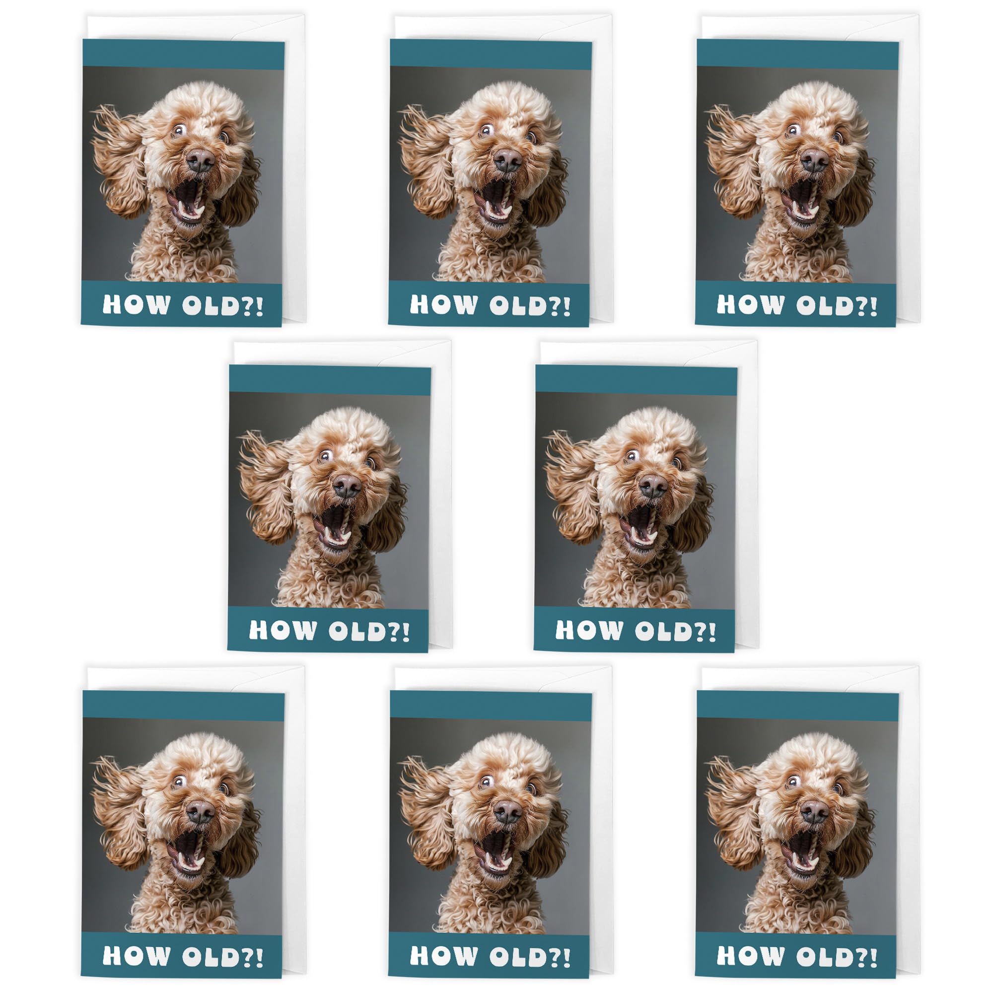 Artery8 Funny Dog Birthday Cards – Pack of 8 A6 Cards with Envelopes – “HOW OLD?!” Humorous Puppy Designs – Ideal for Dog Lovers, Adults & Friends – Blank Inside for Personal Message