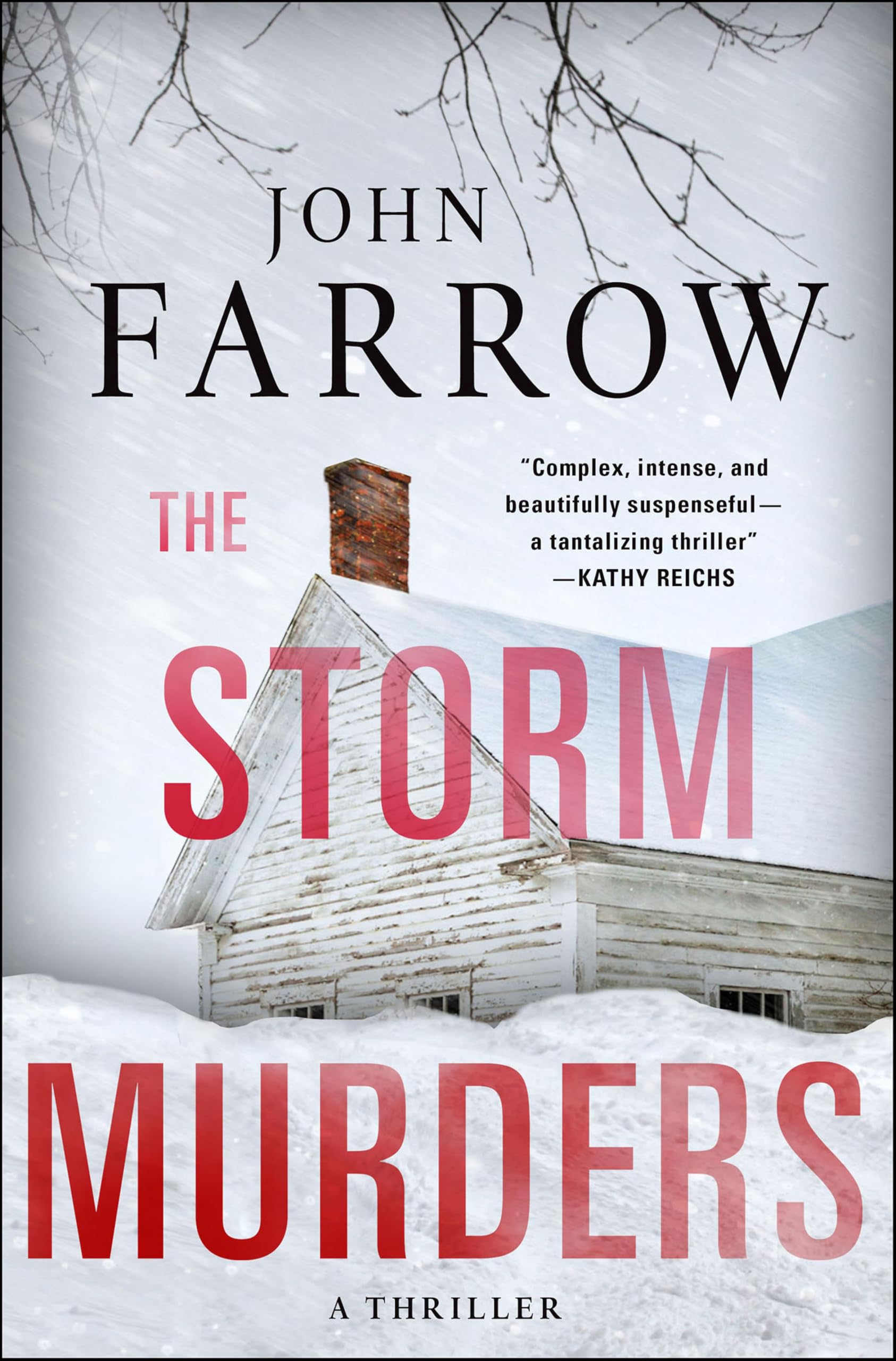 The Storm Murders: A Thriller (The Storm Murders Trilogy Book 1)