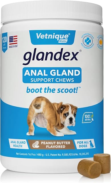 Glandex Fibre Supplements Dog Soft Chews with Pumpkin for Dogs, Digestive Enzyme & Probiotic - Vet Recommended to Boot the Scoot