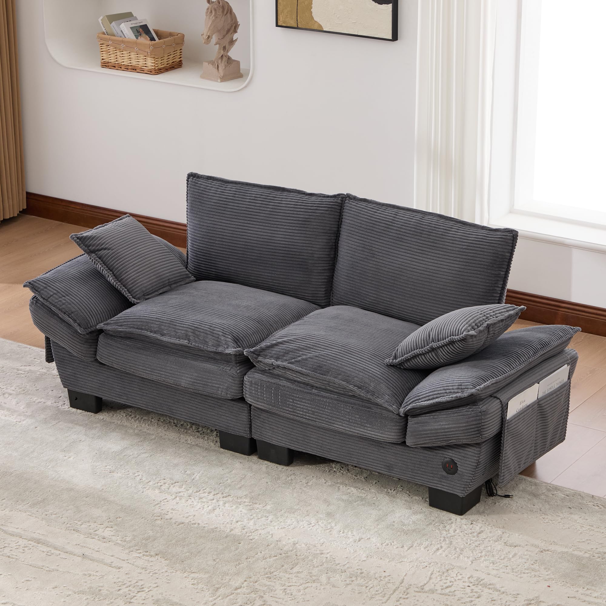 Modułowa sofa 2-osobowa, ergonomiczna szerokość siedziska z przyłączem C, sofa do salonu z bocznymi kieszeniami, do salonu, kolor ciemnoszary