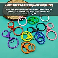 Vista 51 de 30Pcs Lobster Claw Clasps Keychain for Jewelry Making,Metal Lobster Clasp Swivel Trigger Clips with Jump Rings Flat Split Keychain Ring for DIY